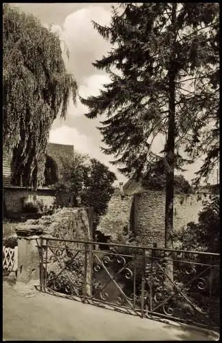Ansichtskarte Tauberbischofsheim Partie an der alten Stadtmauer 1956