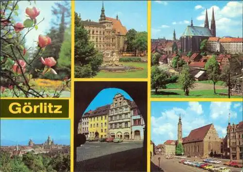 Görlitz Zgorzelec Im Stadtpark, Platz der Befreiung  Leninplatz uvm 1980