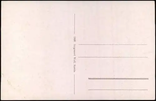 Ansichtskarte Ahlbeck (Usedom) Aus der Vogelschau 1920