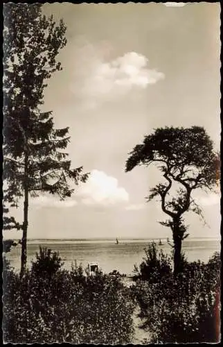 Ansichtskarte Timmendorfer Strand Strand Bäume 1955