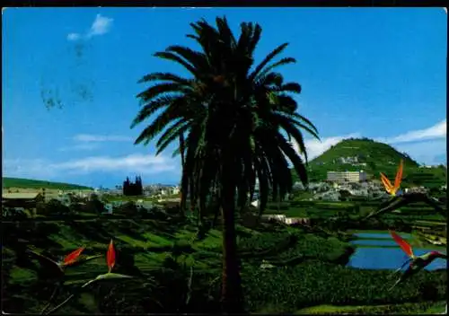 Postales Gran Canaria Landschafe und Arucas Stadt 1972