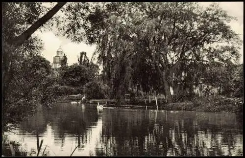 Ansichtskarte Neumünster Partie am Teich 1954