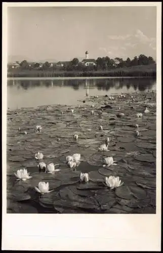 Ansichtskarte Iffeldorf Blick auf die Stadt 1952