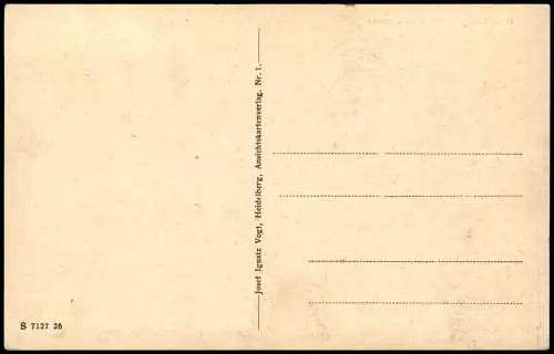 Ansichtskarte Heidelberg Panorama-Ansicht Künstlerkarte Total (Willmann) 1910