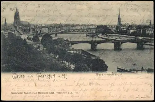 Frankfurt am Main Panorama-Ansicht Gesamtansicht Partie am Main 1905