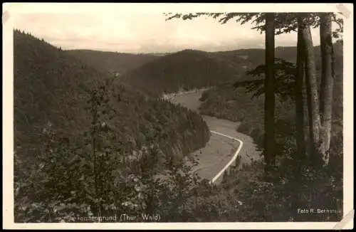 Ansichtskarte Neustadt am Rennsteig Tannengrund b. Neustadt a. Rstg. 1940