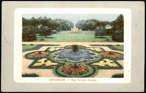 Dresden Großer Garten Blumen Beet 1915   im 1. Weltkrieg Feldpost gelaufen