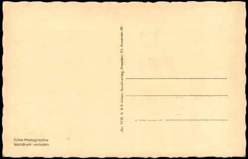 Ansichtskarte Rathen Amselfall (Elbsandsteingebirge) Sächsische Schweiz 1920