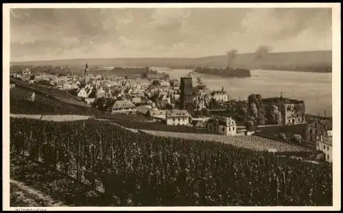 Ansichtskarte Rüdesheim (Rhein) Panorama-Ansicht; Der malerische Rhein 1930