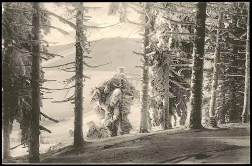 Oberwiesenthal Blick nach dem Fichtelberg im Winter bei Schnee 1910