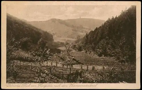 Ansichtskarte Hiddesen-Detmold Umland Blick zum Hermannsdenkmal 1920