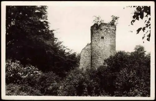 Ansichtskarte Witten (Ruhr) Ruine Hardenstein 1953  gel. Landpoststempel