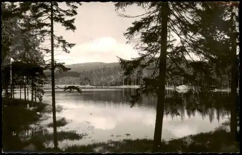 Ansichtskarte Fichtelberg (Oberfranken) Fichtelsee 1964