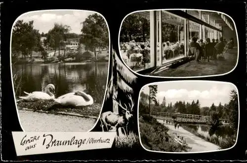Ansichtskarte Braunlage 3 Bild Brücke, Restaurant, Schwäne 1961