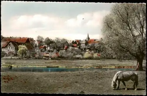 Ansichtskarte Bodenwerder-Polle Stadt und Pferd 1965