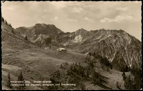 Ansichtskarte Hinterstein / Allgäu Hinterstein Tiroler Grenze Zipfelalpe 1955