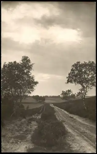 Ansichtskarte .Niedersachsen Abendstimmung, Lüneburger Heide 1935