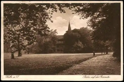 Ansichtskarte Halle (Saale) Stadtteilansicht, Partie auf der Peissnitz 1927