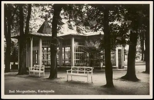 Ansichtskarte Bad Mergentheim Partie an der Karlsquelle 1940