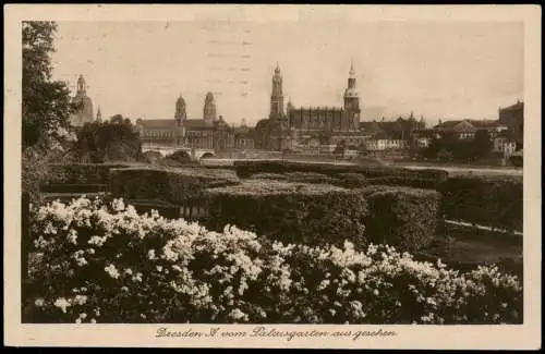 Ansichtskarte Dresden Panorama-Ansicht vom Palaisgarten aus gesehen 1930