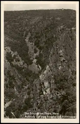 Thale (Harz) Die Schure  Harz Aufstieg aus dem Bodetal zur Roẞtrappe 1940