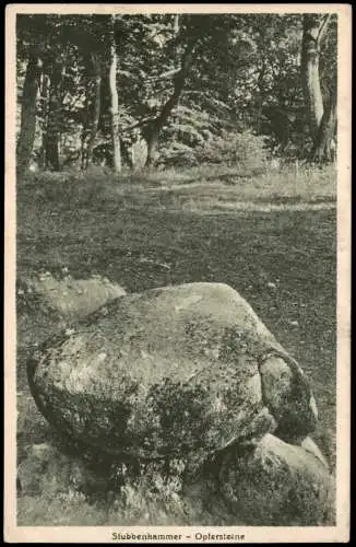 Ansichtskarte Stubbenkammer-Sassnitz Opfersteine 1928