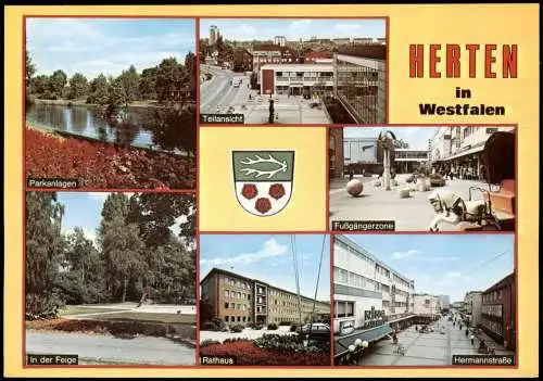Herten Westfalen Mehrbild-AK Rathaus Parkanlagen Teilansicht In der Feige 1975