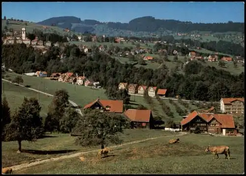 Ansichtskarte Heiden (Bodensee) Panorama-Ansicht 1976