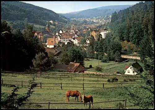 Heimbuchenthal (Spessart Unterfranken)   Blick v. einer Pferde Koppel 1980