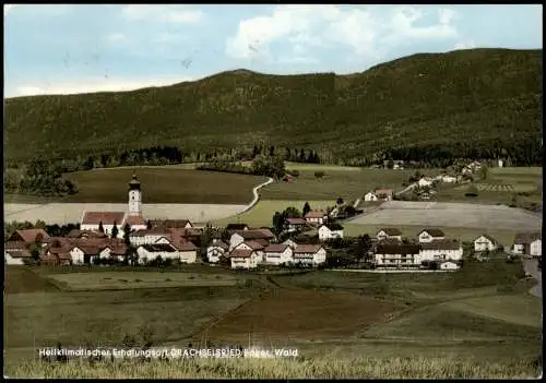 Ansichtskarte Drachselsried Panorama-Ansicht, Ort im Bayer. Wald 1971