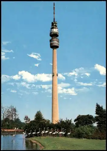 Ansichtskarte Dortmund Fernsehturm Florianturm 1970