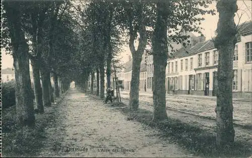 Postkaart Diksmuide Dixmude L'Allée des Tilleuis 1915