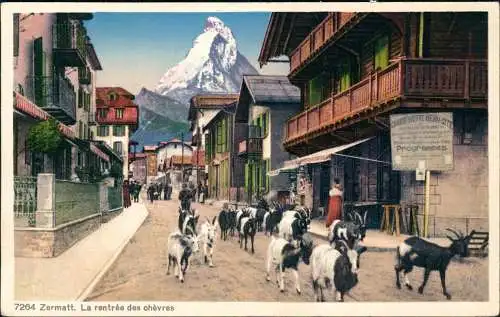 Ansichtskarte Zermatt La rentrée des chèvres - Ziegen in der Straße 1927