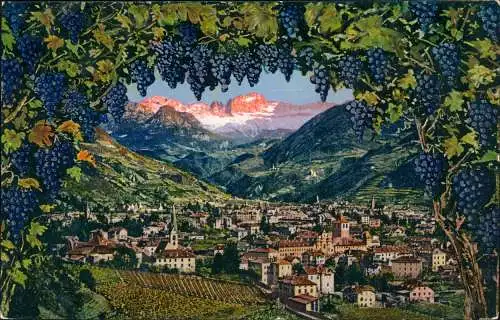 Gries-Bozen Bolzano Künstlerkarte Totale Weinreben mit Trauben 1918