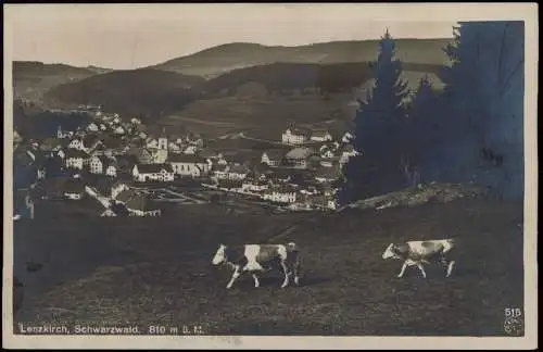 Ansichtskarte Lenzkirch Kühe vor der Stadt 1930