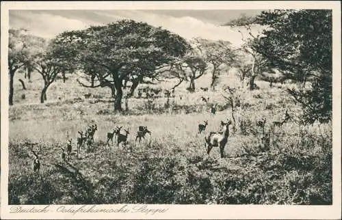 .Mosambik Moçambique Deutsche Kolonien Deutsch Ostafrika Steppe 1918