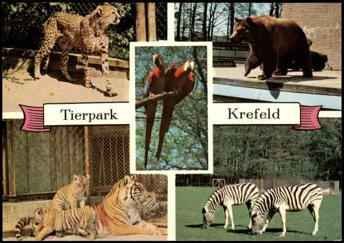 Krefeld Crefeld Tiergarten Tierpark Zoo Tiere u.a. Tiger, Zebra Papagei 1980