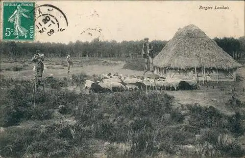 CPA .Frankreich Schäfer Bergers Landais Schafe Hütte 1909