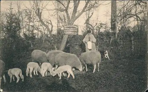 CPA .Frankreich France - Schäfer mit Schafen und Lämmern 1909
