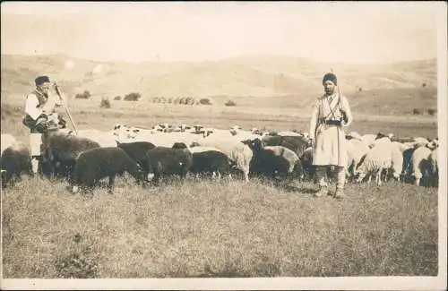 Ansichtskarte  Bauern - Landwirtschaft Schäfer Schafe Balkan 1909