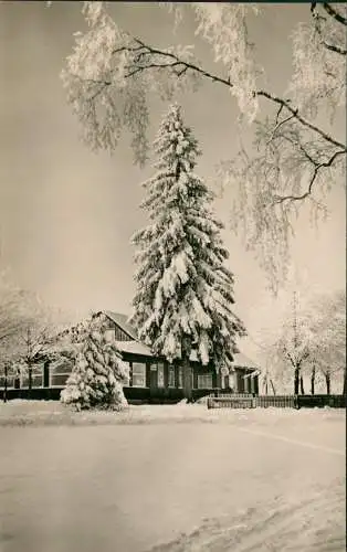 Ansichtskarte Benneckenstein HOG "Waldschlößchen" im Winter 1959