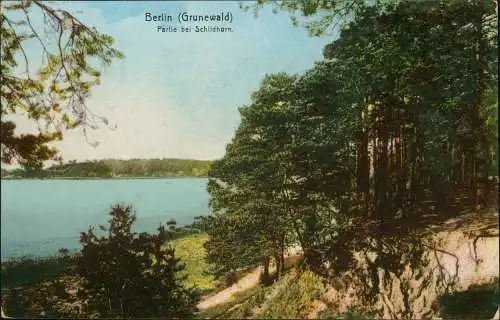 Ansichtskarte Grunewald-Berlin Partie bei Schildhorn 1910