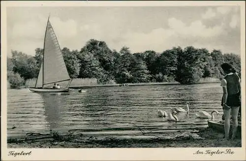 Ansichtskarte Tegel-Berlin Am Tegeler See 1930