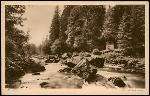 Ansichtskarte Hof (Saale) Höllental (Frankenwald) Am Sauerbrunnen 1920