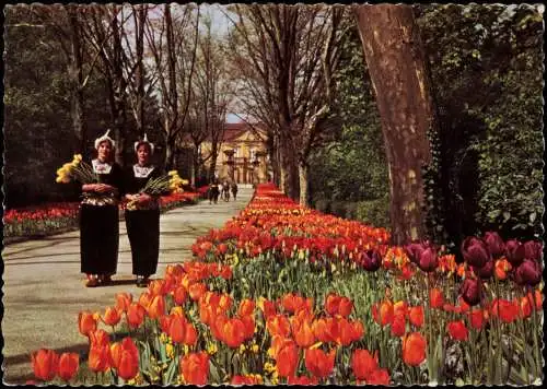 Ludwigsburg Gartenschau Blühendes Barock Platanen- und Blumenallee 1962