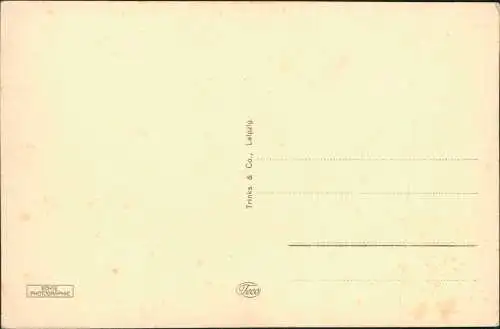 Ansichtskarte Schwerin Pfaffenteich mit Dom. 1930