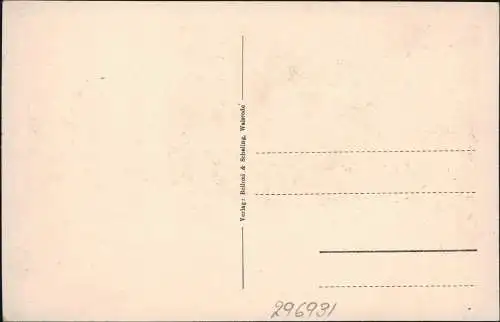 Ansichtskarte Ahlden Aller 2 Bild Schloß u. Seitenflügel 1928