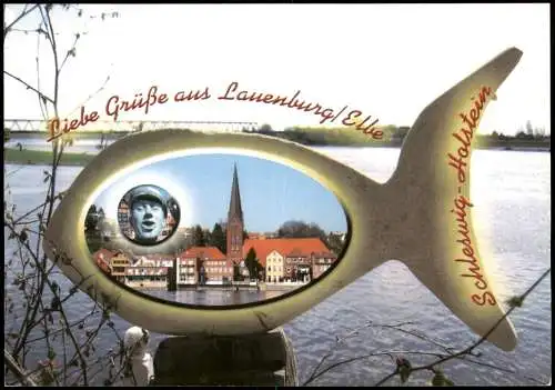 Ansichtskarte Lauenburg (Elbe) Ortsansichten im Fisch-Motiv 2000