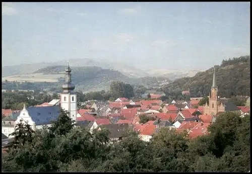 Ansichtskarte Staudernheim Ortsansicht, Panorama-Ansicht Disibodenberg 2005