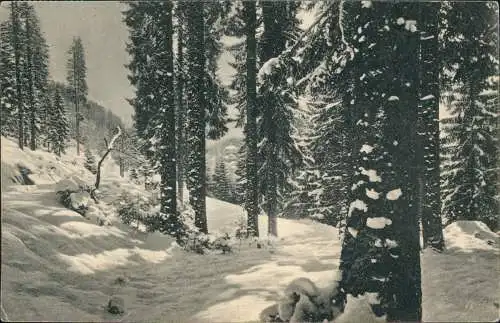 Ansichtskarte St. Blasien Philosophenweg (St. Blasien) 1913